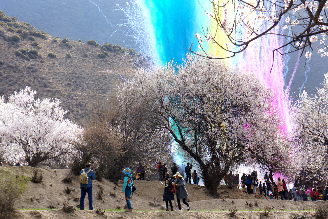 林芝被誉为西藏的小江南,每年3月份这里桃花开满山坡,遍及尼洋河和