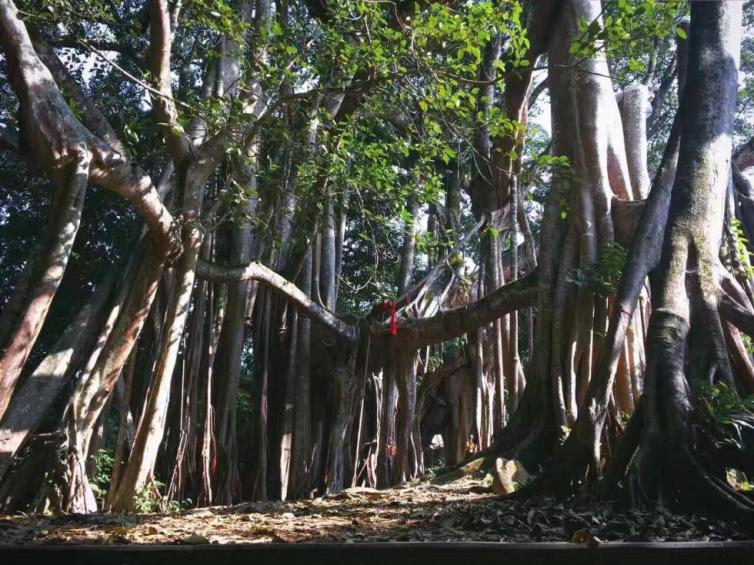 海南海口周边自驾游好玩景点路线推荐,6条海口