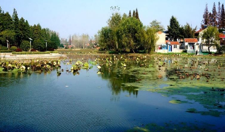 坐落在安徽东部的一颗明珠,天长市一大美景