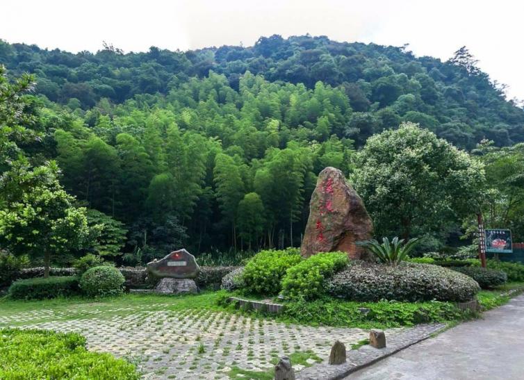 南平周边这4个自驾游景点最值得一去,南平出发自驾游最绝美景点攻略