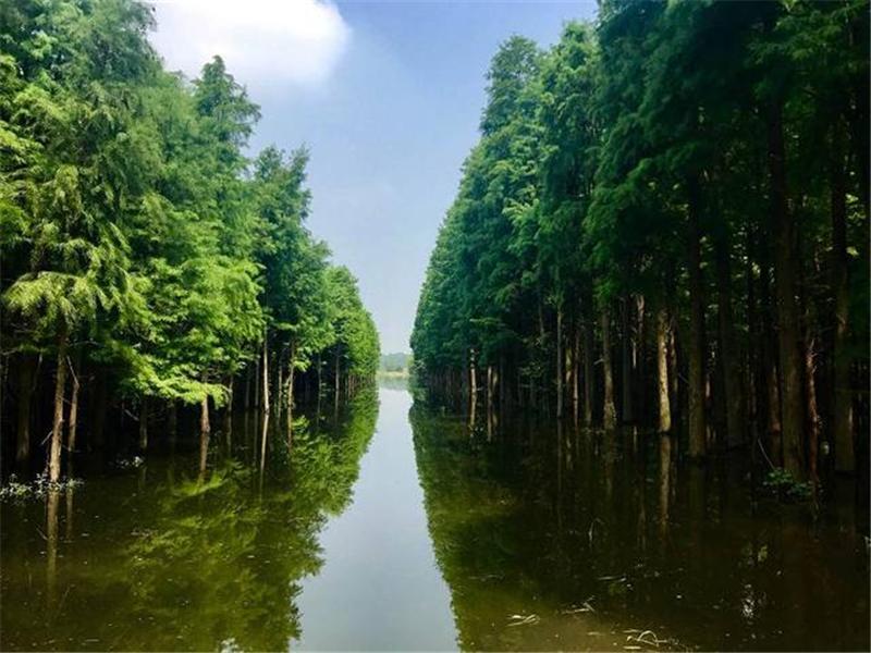 武汉出发仙桃2日自驾游：京山空山洞-莫愁村-沙洋油菜花-仙桃梦里水乡2天踏青游