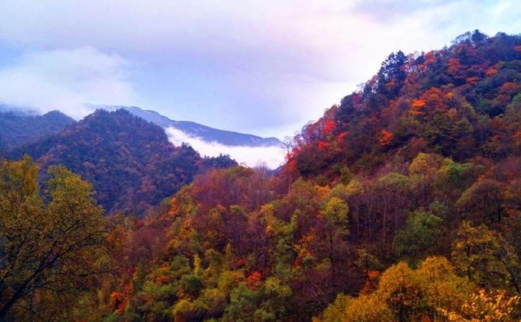 北京出发山西阳泉2日自驾游：大美藏山-大汖温泉-特色古村休闲自驾游 